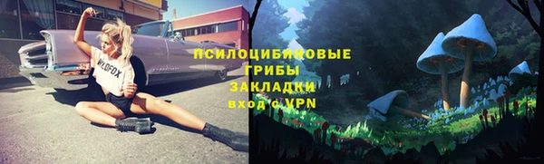 не бодяженный Алексин
