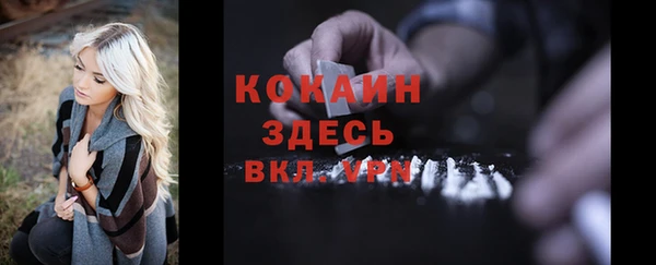 не бодяженный Алексин