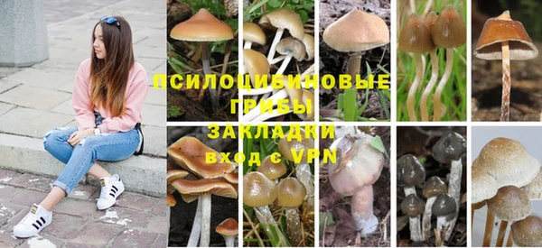 не бодяженный Алексин