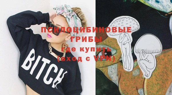 не бодяженный Алексин