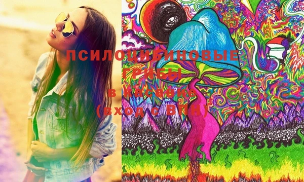 не бодяженный Алексин
