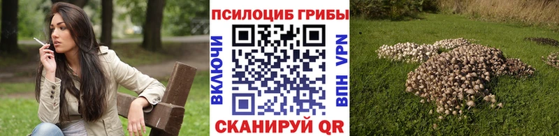 наркотики  OMG ССЫЛКА  Галлюциногенные грибы GOLDEN TEACHER  Кореновск 