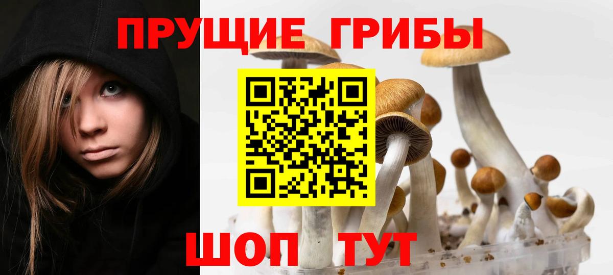 Галлюциногенные грибы мицелий  Вход с VPN  Кореновск 